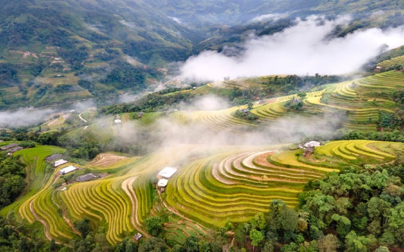 Cảnh đẹp Hà Giang: Ruộng bậc thang Hoàng Sù Phì