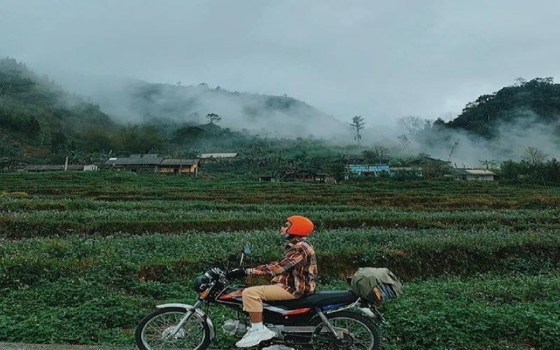 Phương tiện di chuyển đến Hà Giang ngắm hoa tam giác mạch